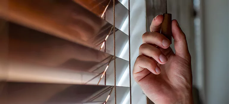 Double Roller Blinds in Glenvar Heights, FL