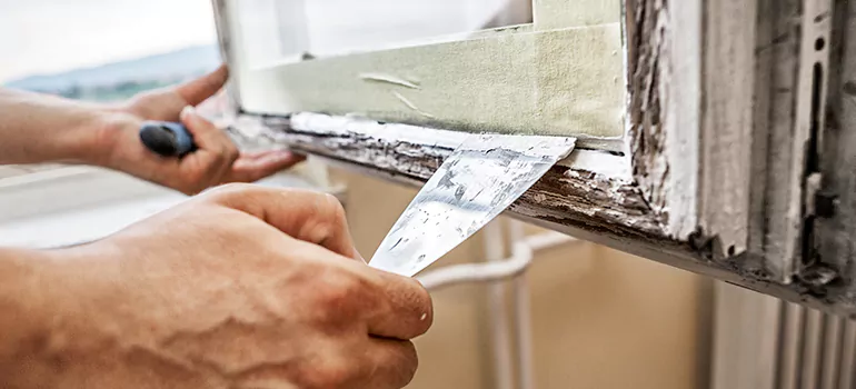 Exterior Window Frame Repair in Glenvar Heights, FL