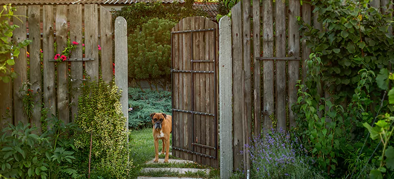 Winter Garden Garage Door Repair in Glenvar Heights,[location field=state]