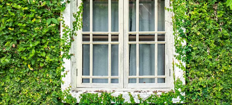 Garden Window Repair Near Me in Glenvar Heights, FL
