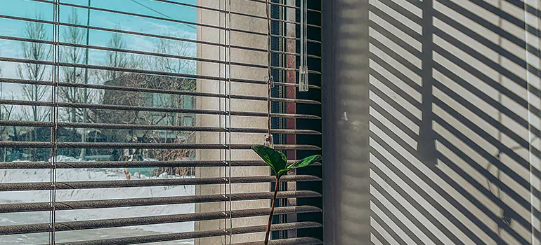 Commercial Window Blinds in Glenvar Heights, FL