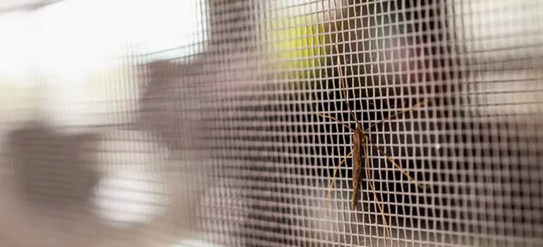 Repair Mosquito Mesh For Windows in Glenvar Heights, FL